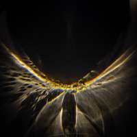 image: Cabernet Blanc Brut nature I